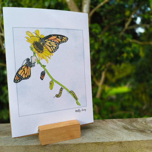Hand-drawn butterfly art print by Milly – available in A4 and A3