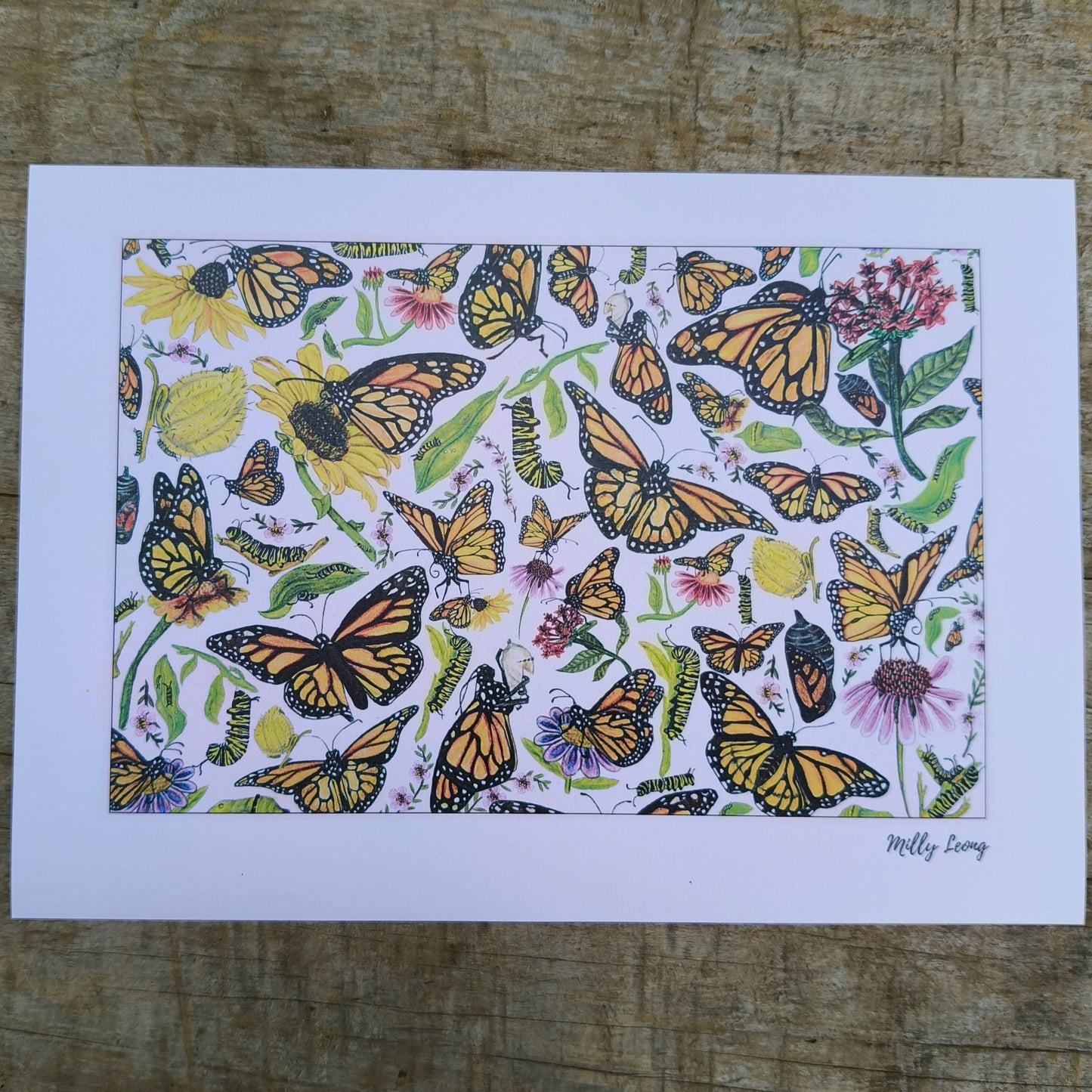 Hand-drawn butterfly art print by Milly – available in A, A3 and A2