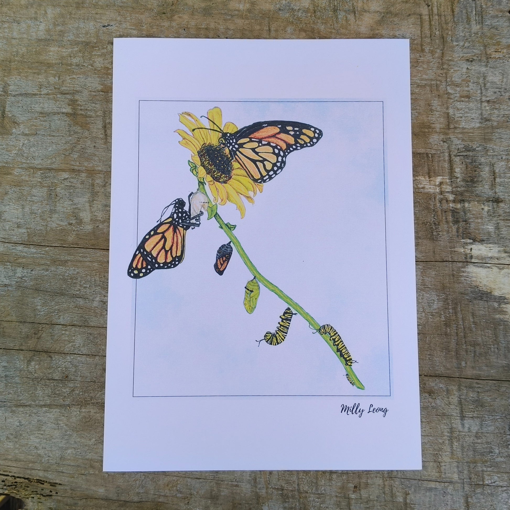 Hand-drawn butterfly art print by Milly – available in A4 and A3