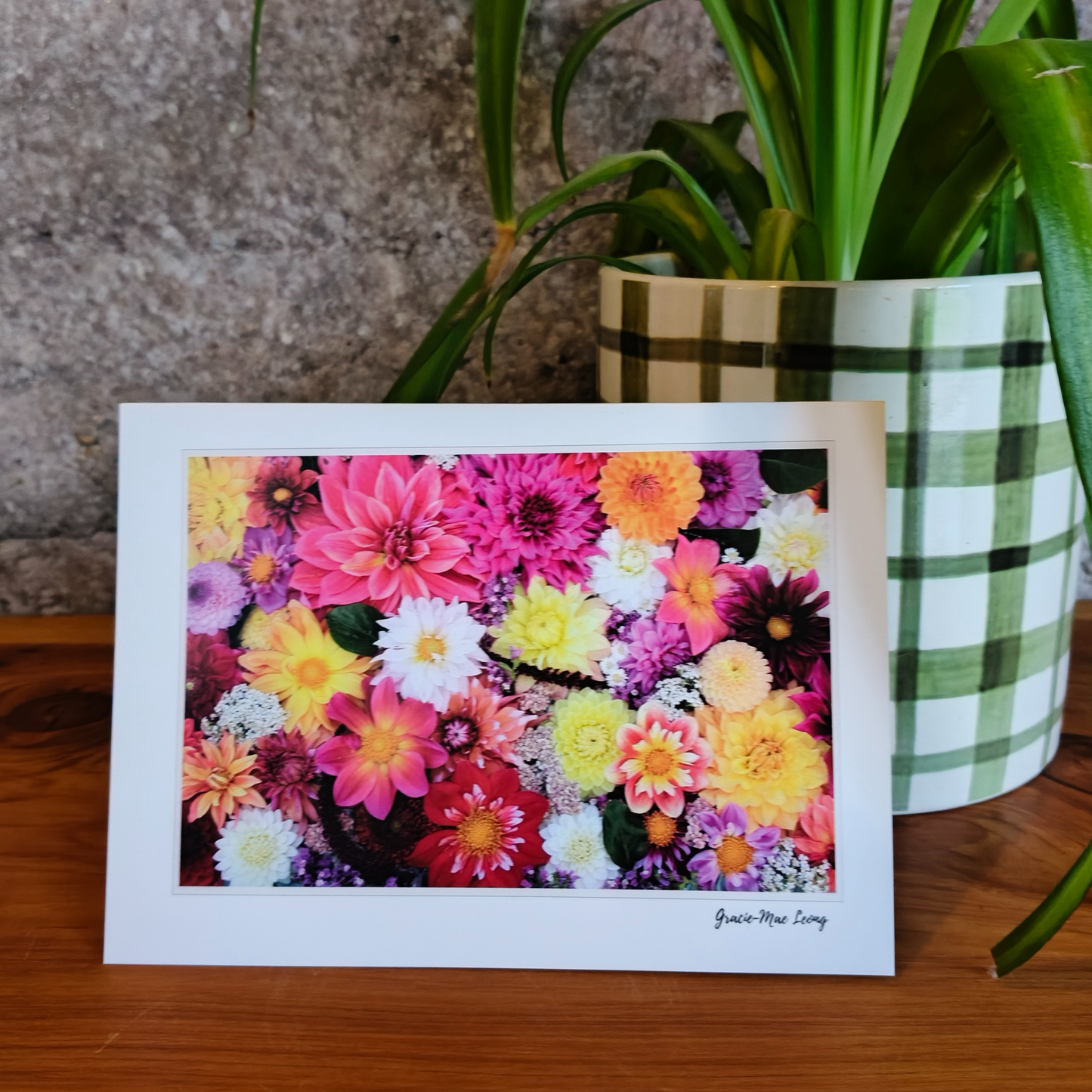 Dahlia Greeting Card Set – 5 Designs by Gracie-Mae
