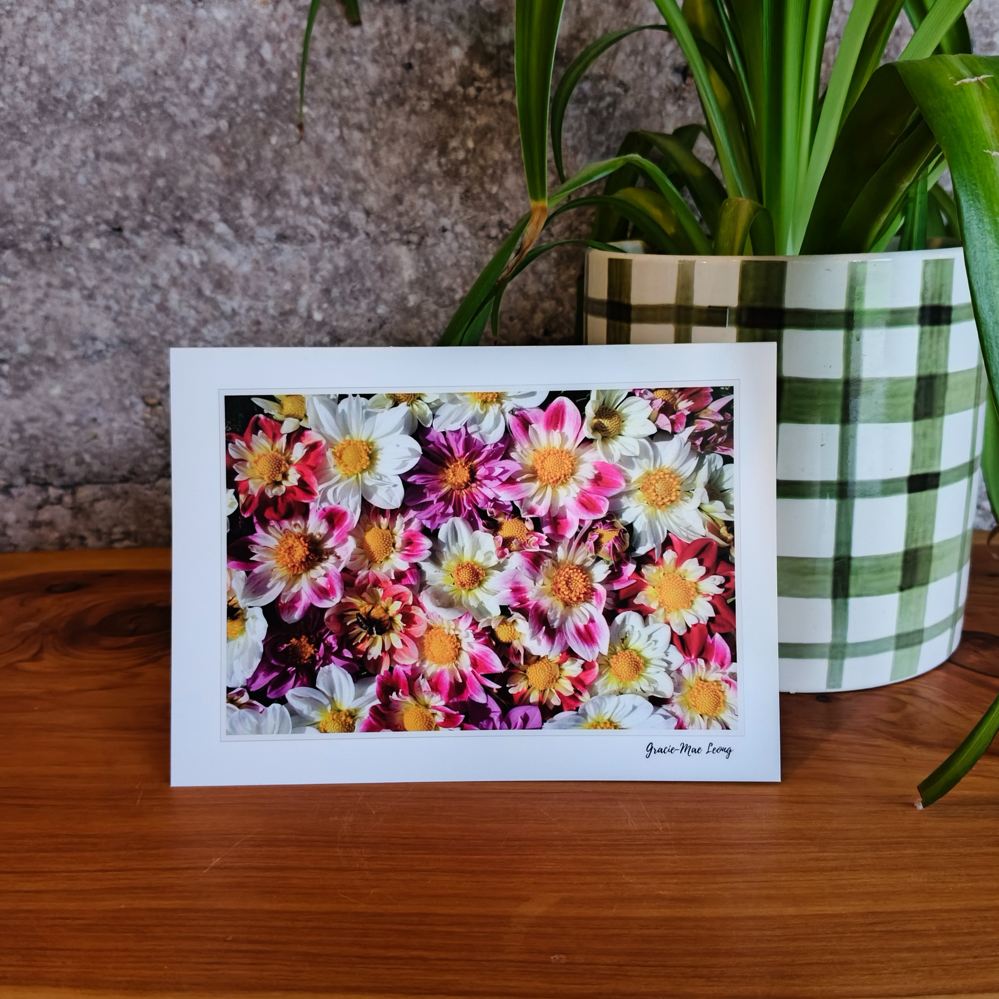 Greeting card featuring collarette dahlia flatlay by Gracie-Mae – blank inside