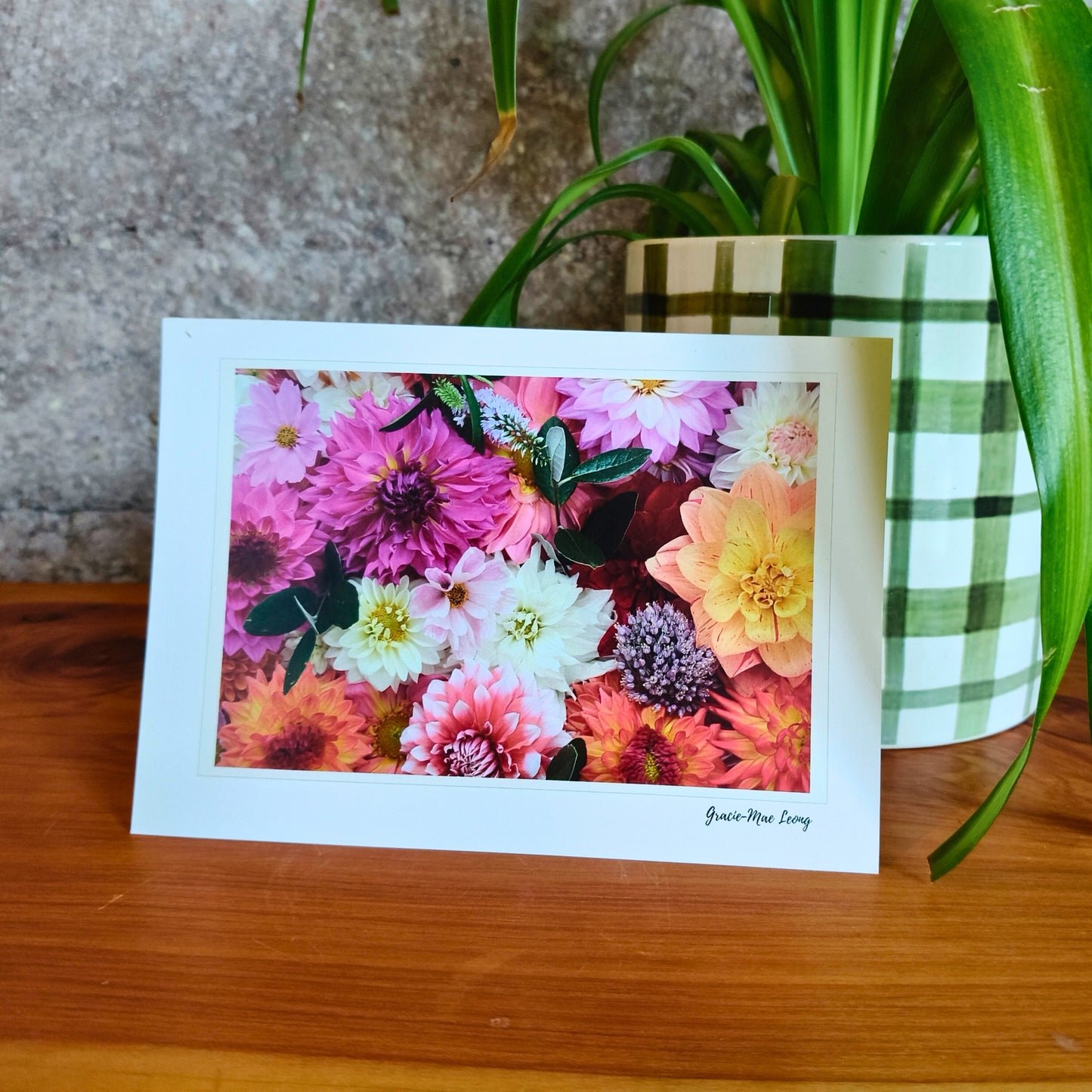 Gracie's Card Lucky Dip – Pack of 20