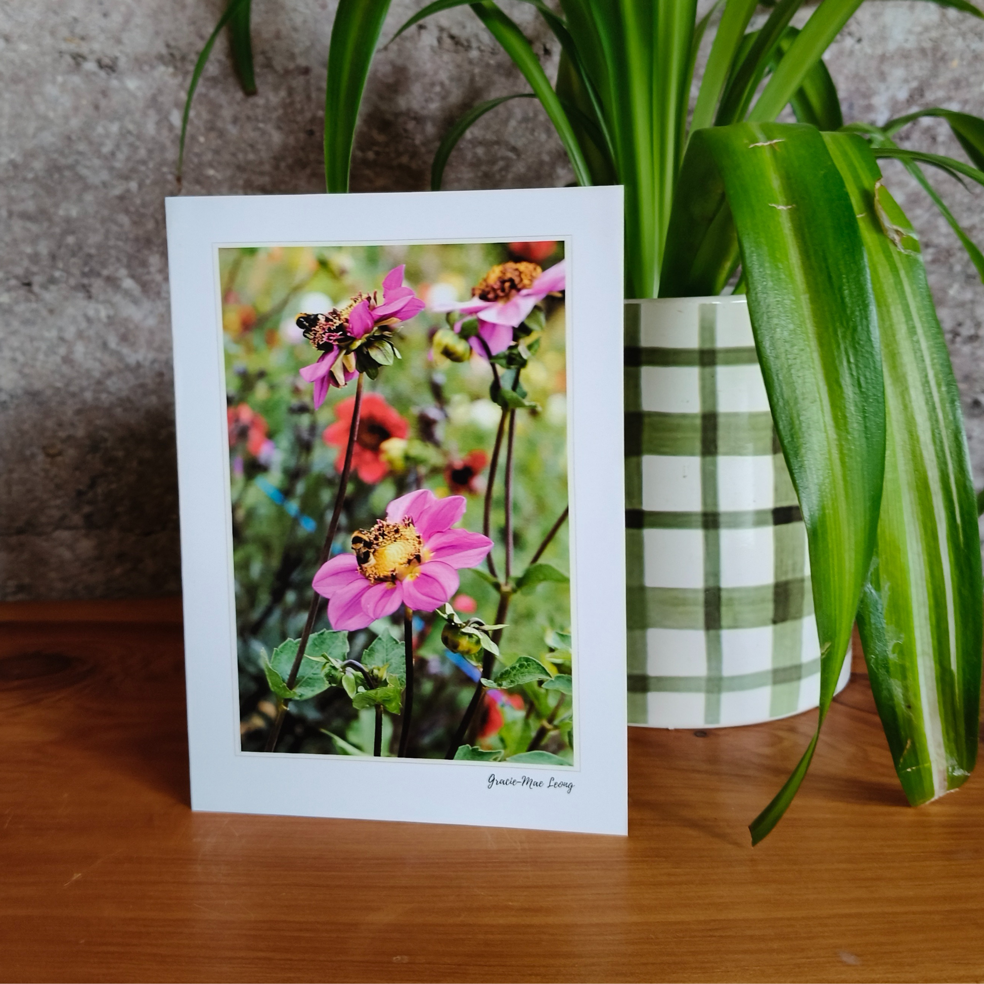 Garden scene greeting cards featuring photography by Gracie-Mae – blank inside
