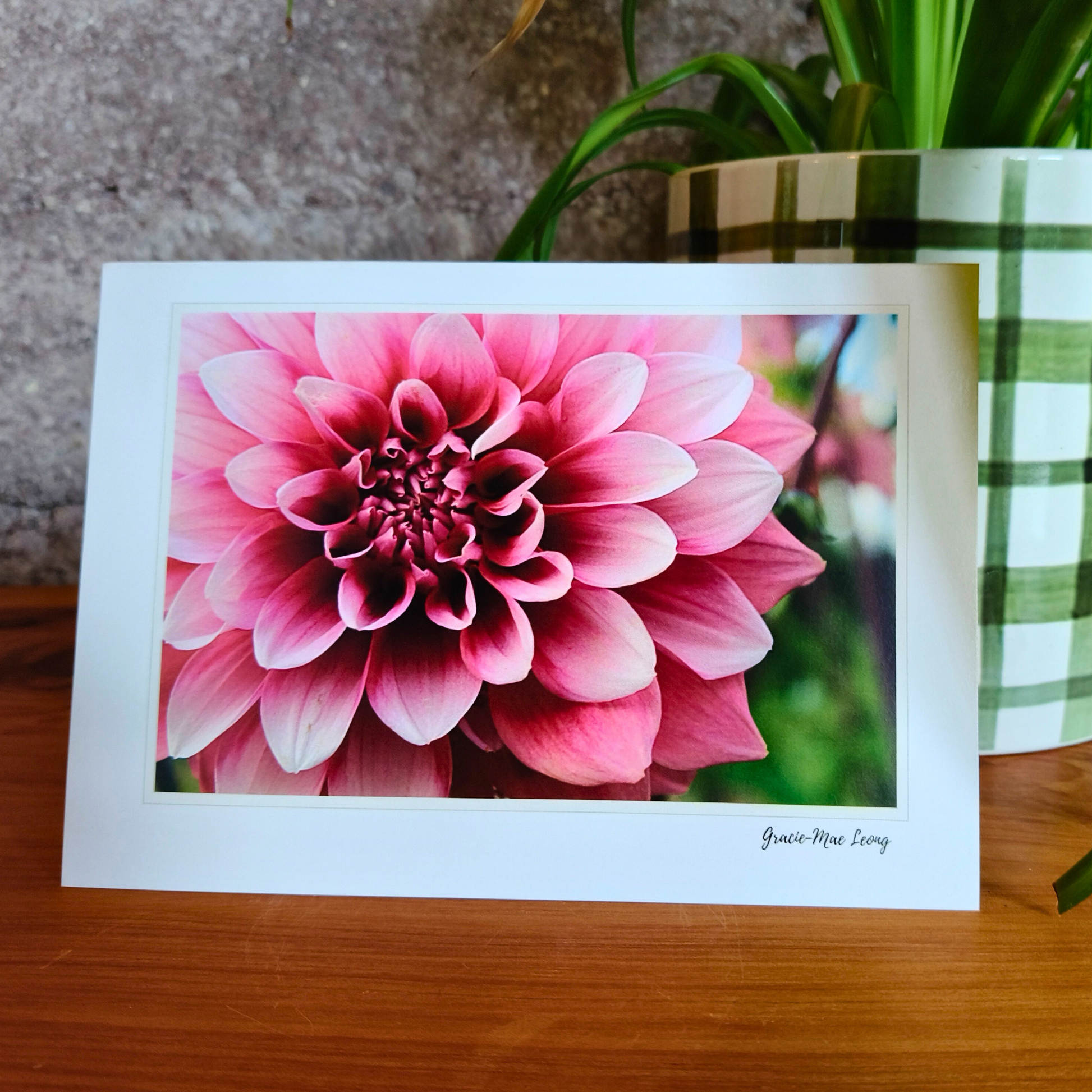 Greeting card featuring garden scene photography by Gracie-Mae – blank inside